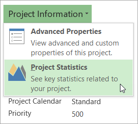 Opsi Informasi Proyek