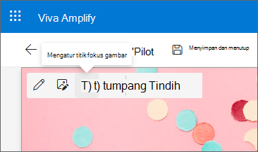 Cuplikan layar tombol Atur titik fokus gambar di toolbar.