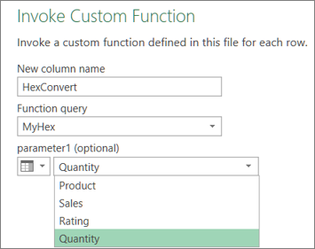 Kotak dialog Invoke Custom Function