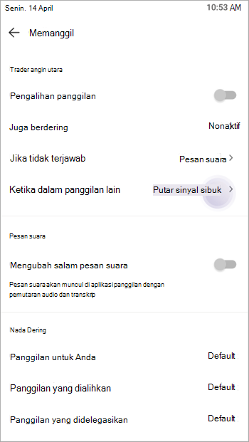 Pengguna bisa mengontrol bagaimana mereka ingin menangani panggilan masuk kedua melalui pengaturan Sibuk-on-Sibuk.