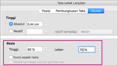 Pada tab Ukuran, dalam kotak Tata Letak Tingkat Lanjut, opsi Skala akan disorot.