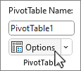 Tombol Opsi PivotTable