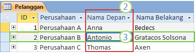 Tabel Pelanggan di Access memperlihatkan tata letak data dan bidang