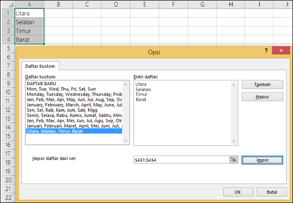 Dialog Daftar Kustom dari File > Opsi > Tingkat Lanjut > Umum > Edit Daftar Kustom. Untuk Excel 2007 klik Tombol Office > Opsi Excel > Populer > Edit Daftar Kustom.