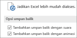 Sebagian tampilan dari Pengaturan Kemudahan Akses Excel