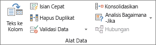 Grup Alat Data pada tab Data