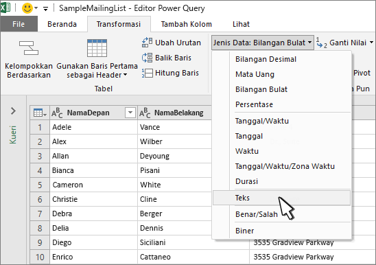 jendela Power Query dengan Teks dipilih