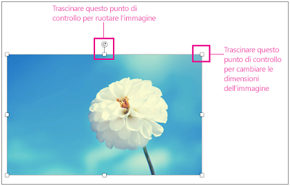 Immagine con i quadratini di ridimensionamento evidenziati