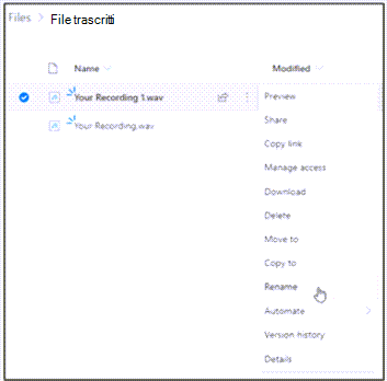 File trascritti
