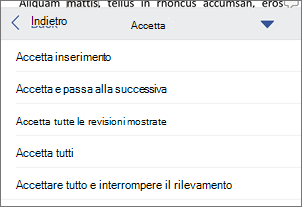 Accettare le revisioni