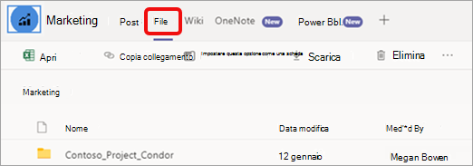 Scheda File nella parte superiore della pagina del canale