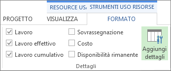 Scheda Formato strumenti uso risorse, pulsante Aggiungi dettagli