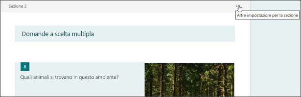 Altre impostazioni per una sezione