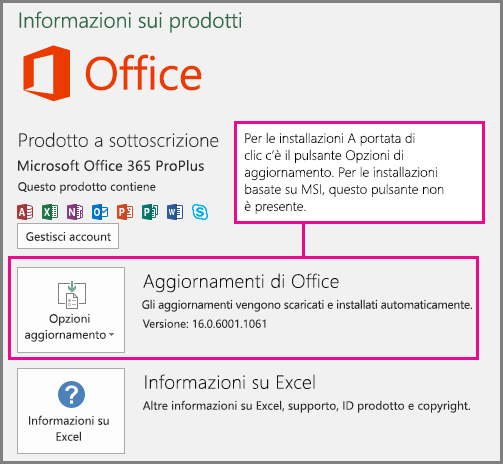 Per le installazioni A portata di clic è presente un pulsante Opzioni aggiornamento nella pagina Account. Per le installazioni basate su MSI, questo pulsante non è presente.