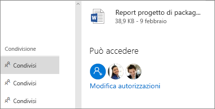 Mostra chi ha accesso ai file condivisi