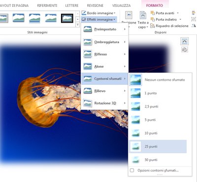 Usare Effetti immagine per aggiungere ombreggiature, contorni sfumati, rilievi o altri effetti visivi.