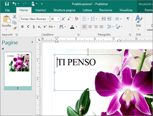 Screenshot di una casella di testo in una pagina di un file di Publisher.