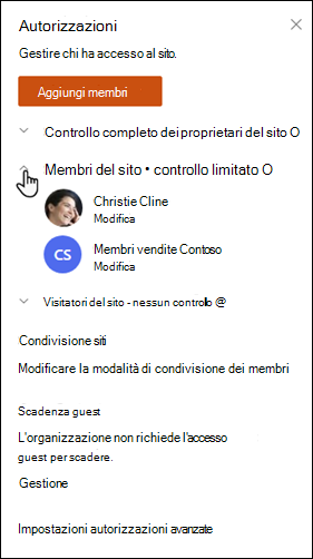 Elenco delle autorizzazioni per i siti di SharePoint con i membri del sito espansi.