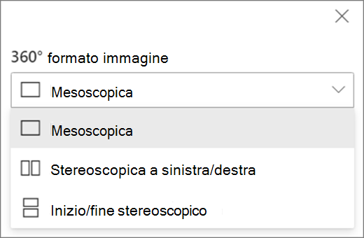 Opzioni di formato immagine