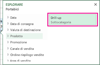 Pulsante Drill-up nella casella Esplora