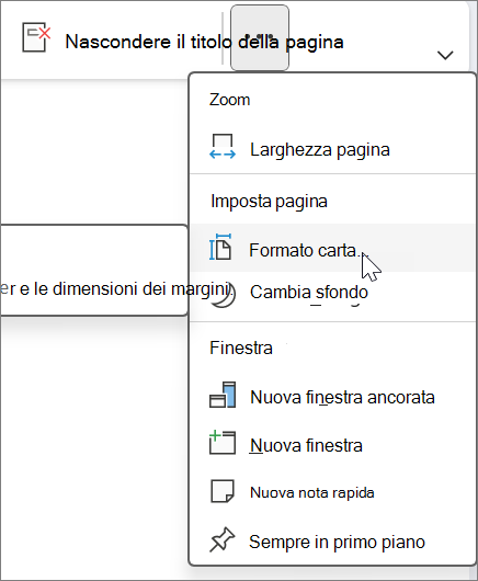 Formato della carta nella scheda Visualizza