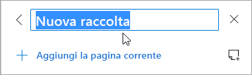 Screenshot di un titolo della raccolta da modificare