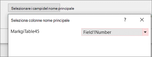 Selezione di un campo nome primario specifico