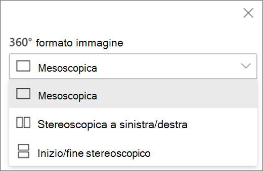 Opzioni di formato immagine a 360