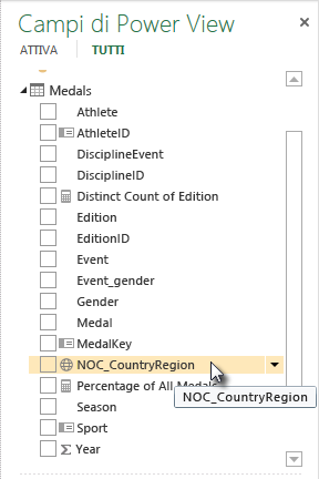 Icona di località geografica in Campi di Power View