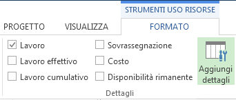 Scheda Formato strumenti gestione attività, pulsante Aggiungi dettagli