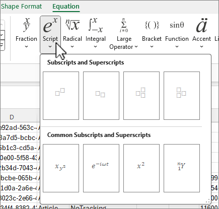 Scheda Equazione con il pulsante Script selezionato