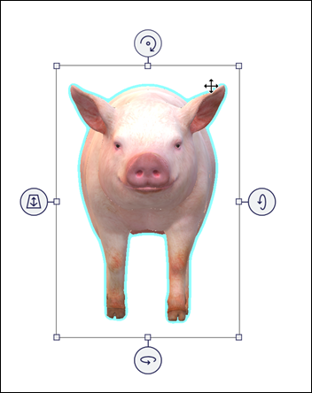 移動矢印を示す選択された Pig モデル。