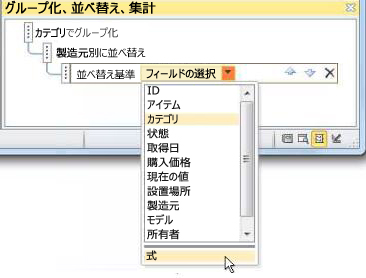 [グループ化、並べ替え、集計] ウィンドウの式オプションの選択