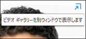 [ビデオ ギャラリーを別ウィンドウで表示します] のスクリーン ショット