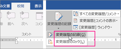 [変更履歴の記録] ボタンをクリックすると使用可能なオプションが強調表示される