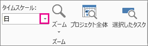 [表示] タブの [タイムスケール] ボックス