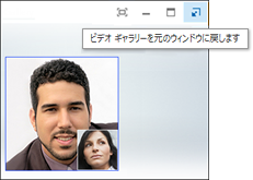 [ビデオ ギャラリーを元のウィンドウに戻します] のスクリーン ショット