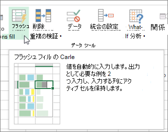 リボンのフラッシュ フィル オプション