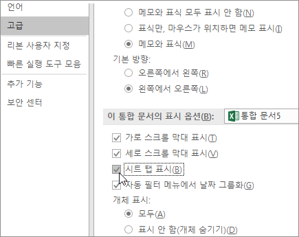 Excel 옵션의 시트 탭 표시
