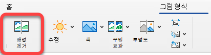 그림 제거 옵션은 Office 앱의 그림 서식 탭에 있습니다.