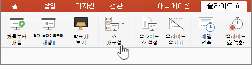 사용자 지정 쇼 재생 단추