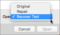 열기 > 텍스트 복구를 클릭한 다음 손상된 문서를 열어 복구를 시도합니다.