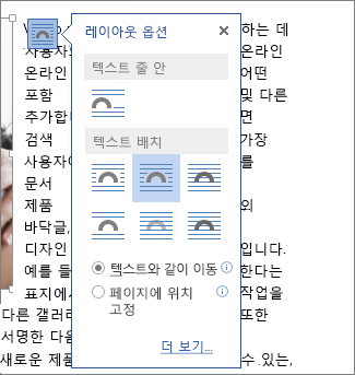 레이아웃 옵션 상자