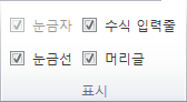 보기 탭에 있는 표시 그룹의 옵션