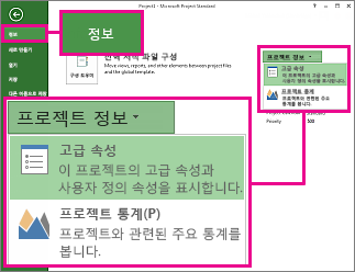 고급 속성이 강조 표시된 프로젝트 정보 메뉴