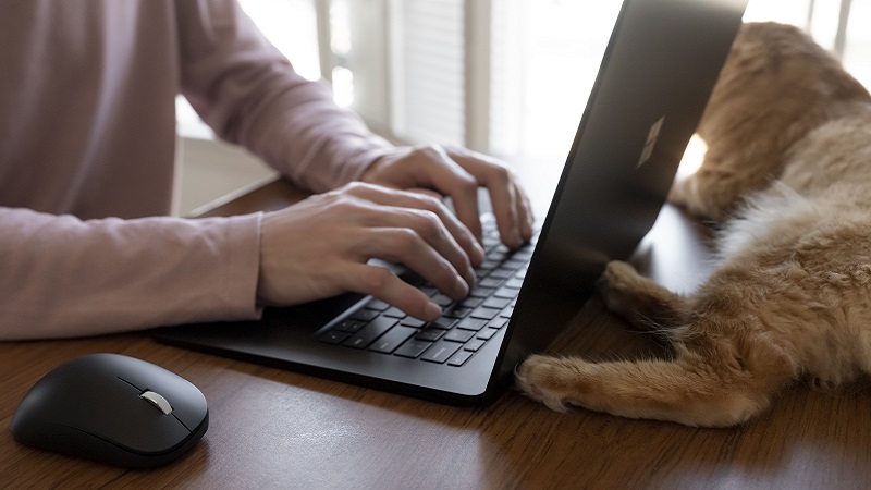 Microsoft Bluetooth Ergonomic 마우스