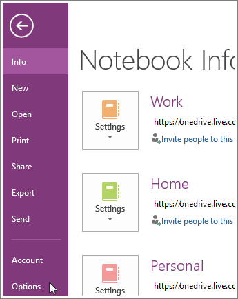 OneNote 옵션