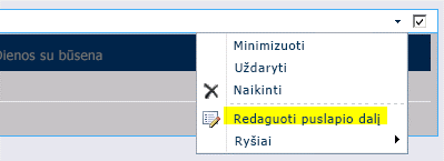 Komanda Redaguoti puslapio dalį puslapio dalies meniu