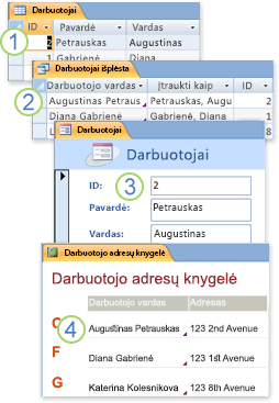 Duomenys iš lentelių naudojami užklausoje, formoje ir ataskaitoje