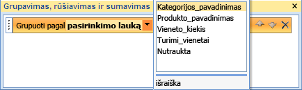 Laukų sąrašas srityje Grupavimas, rūšiavimas ir sumavimas